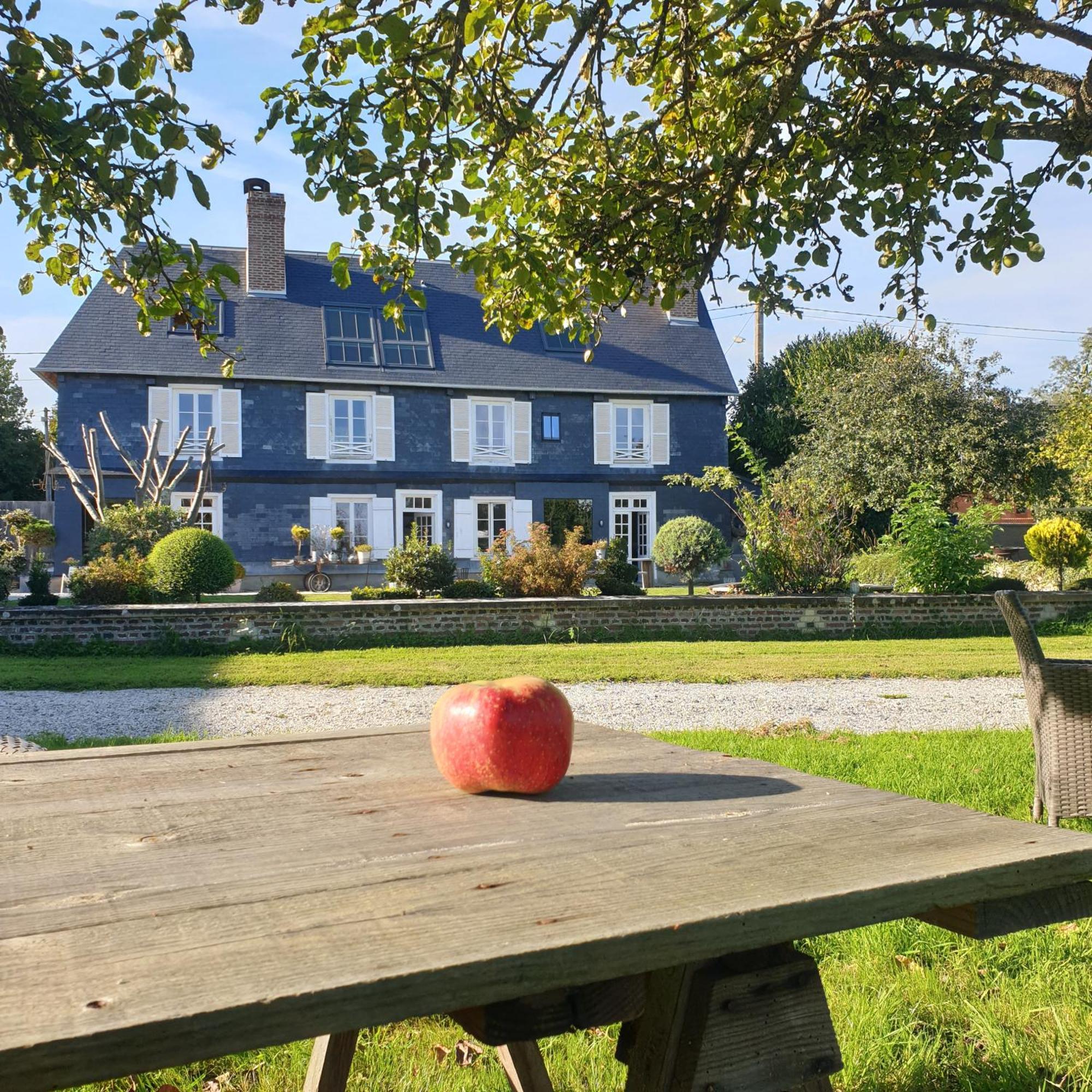 Par Hasard Ou Pas Bed and Breakfast Saint-Martin-aux-Chartrains Buitenkant foto